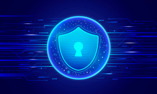 Virtual CISO (vCISO) Consultation